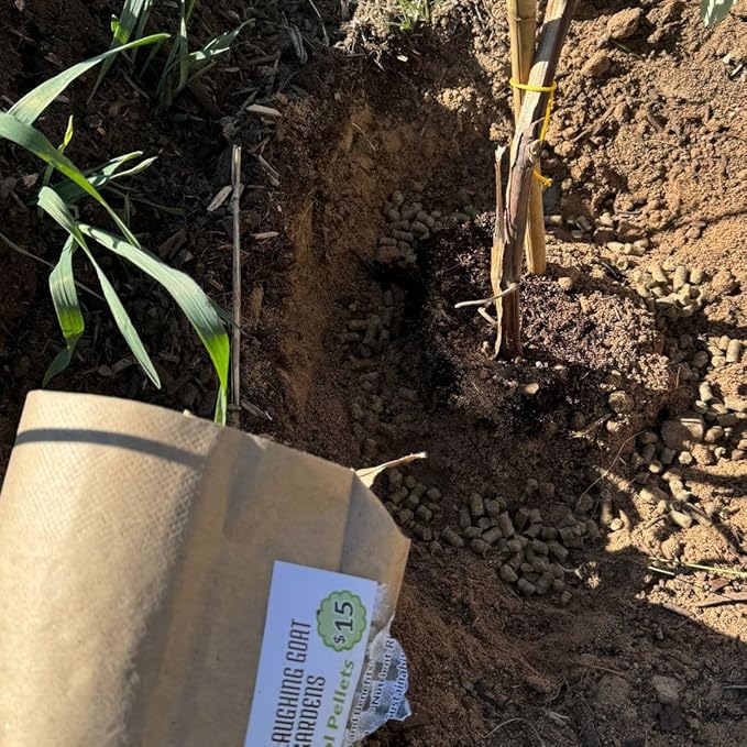 Natural Soil Amendment for Outdoor Gardens, Raised Beds & Indoor Plants - Organic Soil Additive Fertilizer for Plant Growth and Moisture Retention 1 Lbs