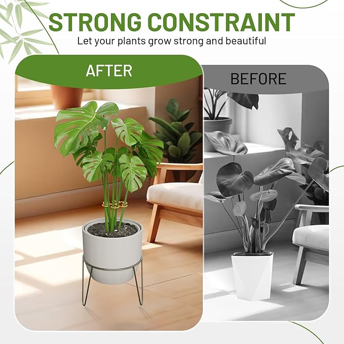 4PCS Iron Monstera Support, Uniquely Designed Plant Support Stakes for Indoor Plants, Stable Plant Stakes and Supports, Turtle Shell Bamboo Clamp Set for Thriving Growth