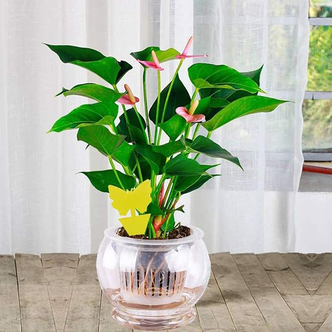 Faicuk Dual-Sided Yellow Sticky Fly Traps for Plant (20 Pack Butterfly)