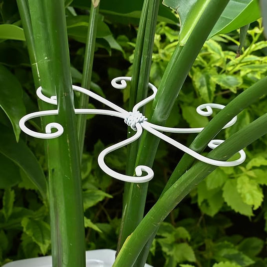 5PCS Monstera Plant Support Hook - 5.5x5.5 inch Premium Indoor Stem Stabilizer for Monstera & Fishbone Cactus, Durable,Easy Installation, Gentle Protection for Healthy Plant Growth