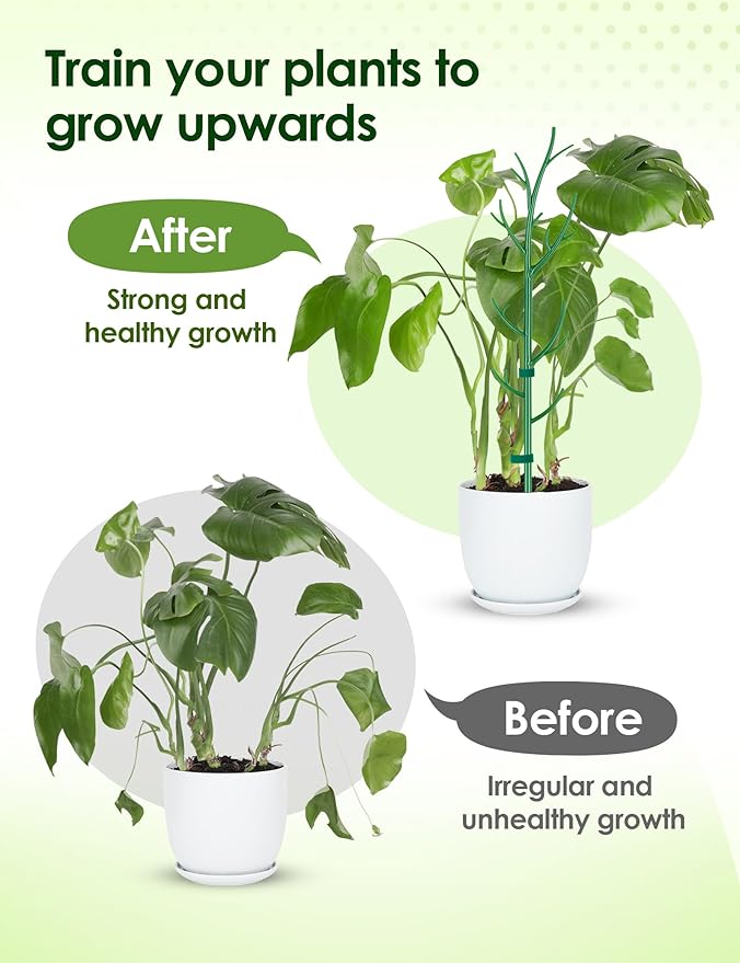 NiHome 50" Plant Support Stakes 5-Pack for Indoor & Outdoor Garden Climbing Plants Enhances Upright Growth - UV-Resistant, Non-Rotting Plastic Natural Branch Look for Pothos, Clematis, Ivies (Green)