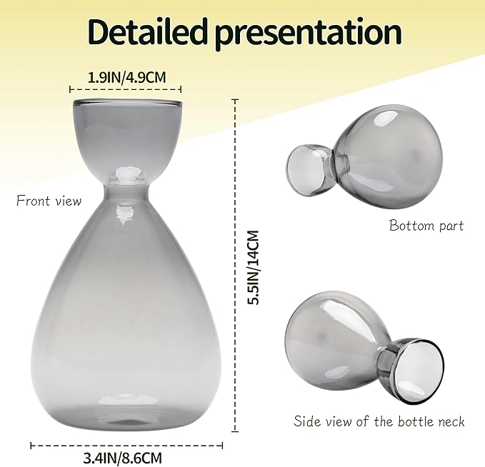 Avocado Vase Avocado Seed Starter Vases Trees Live Plants Growing kit Glass 2pc