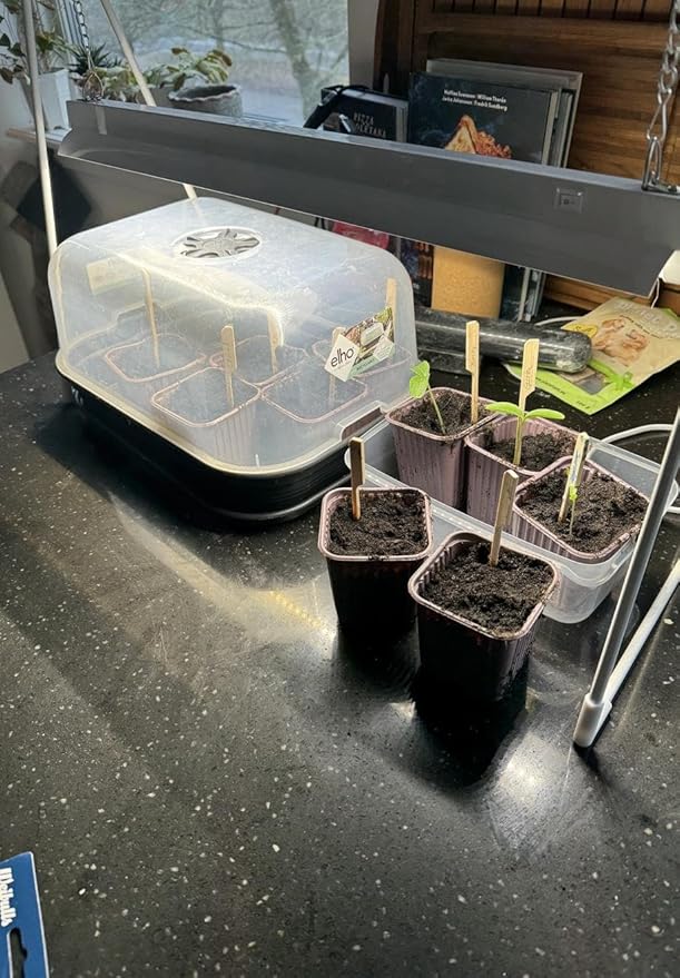 Grow Light Stand, 10W Grow Light kit for Indoor Plants, 2ft Plant Grow Rack, Full Spectrum, Enhanced red Light Good for Flowering, Height Adjustable, Iron Bracket, on and Off Switch