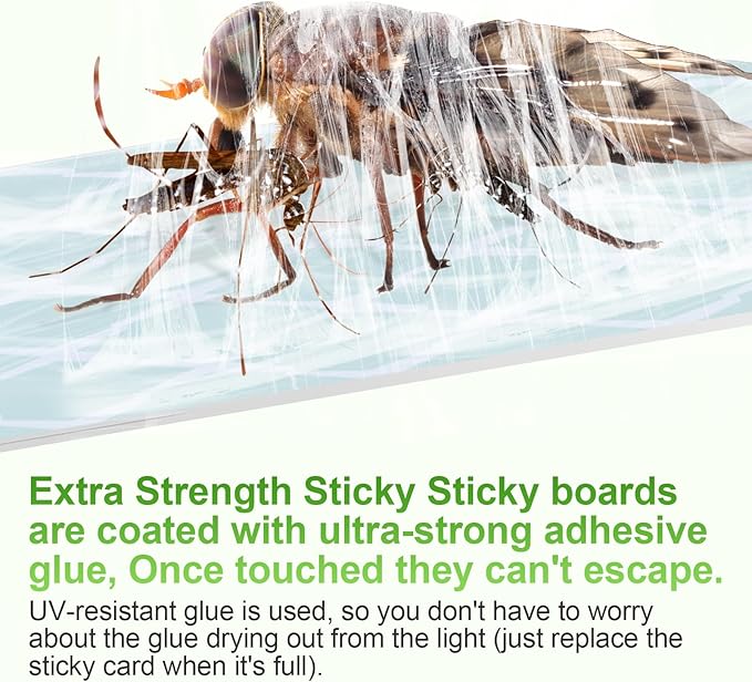 Fly Trap Indoor, Fruit Fly Traps for Indoors, Two Modes Protect 400 Sq Ft for Home, 2 Devices 12 Glue Cards, Fly Catcher Trap for Fruit Flies, Gnats, Mosquito, Flies, Moths, and Other Flying Insects