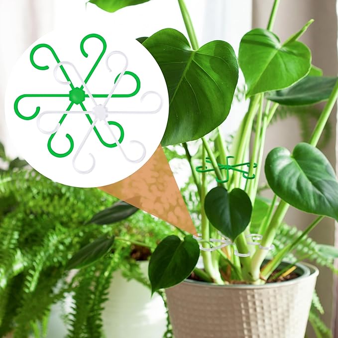 8PCS Plant Stem Support, 4 Sizes Climbing Houseplant Stem Holders, Plastic Reusable Flower Trellis Stem Hook Plant Care Growth Accessories for Flower Plants Indoor Outdoor- Green, Clear