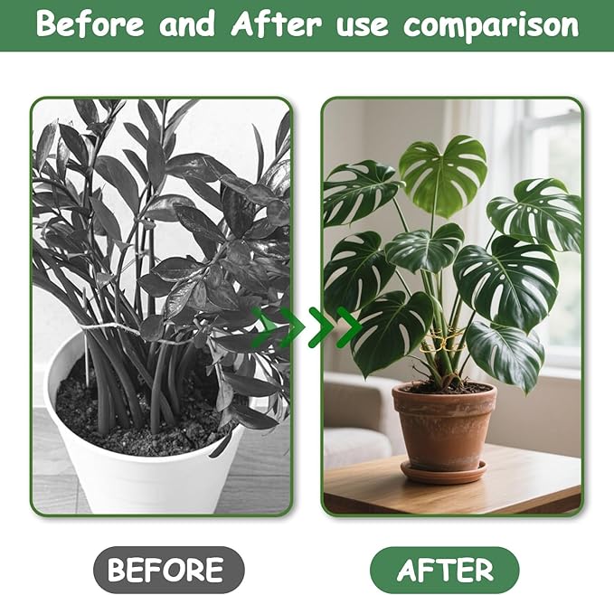 5PCS Iron Monstera Plant Support, Plant Stem Support, Turtle Shell Bamboo Clamp Set, Stable Plant Support Stakes for Indoor Plant, Ideal Present for Plant Lovers (5 Pcs-4.1INX4.1IN)