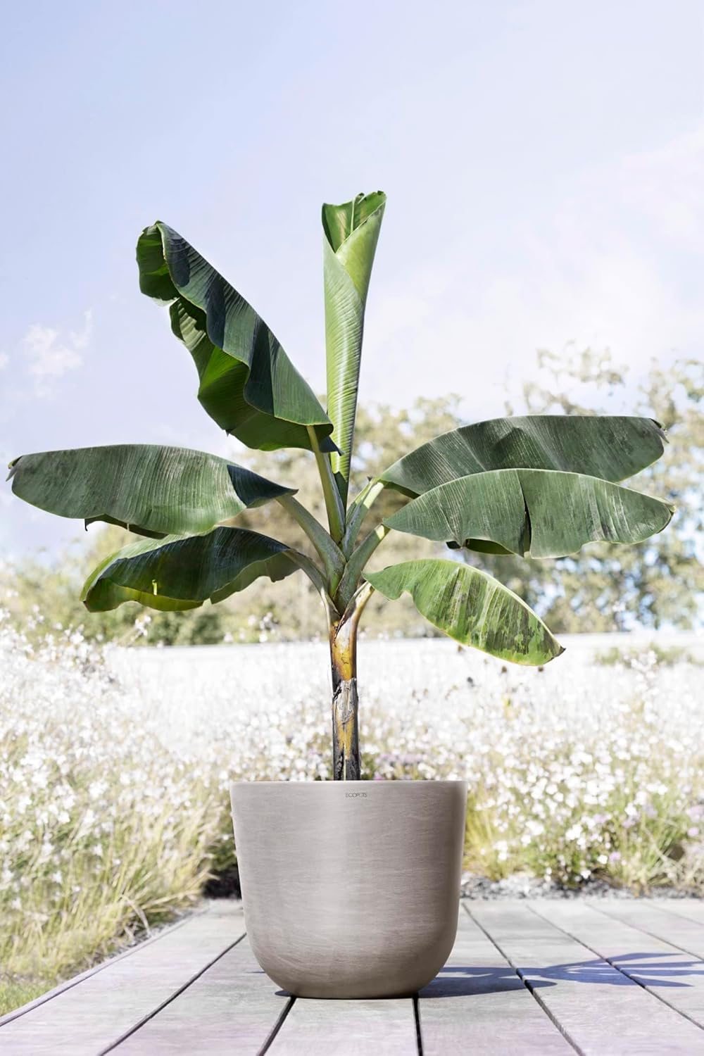 Ecopots Oslo Durable Modern Round Indoor/Outdoor Recycled-Based Composite Flower Pot Planter, Taupe, 17.75"