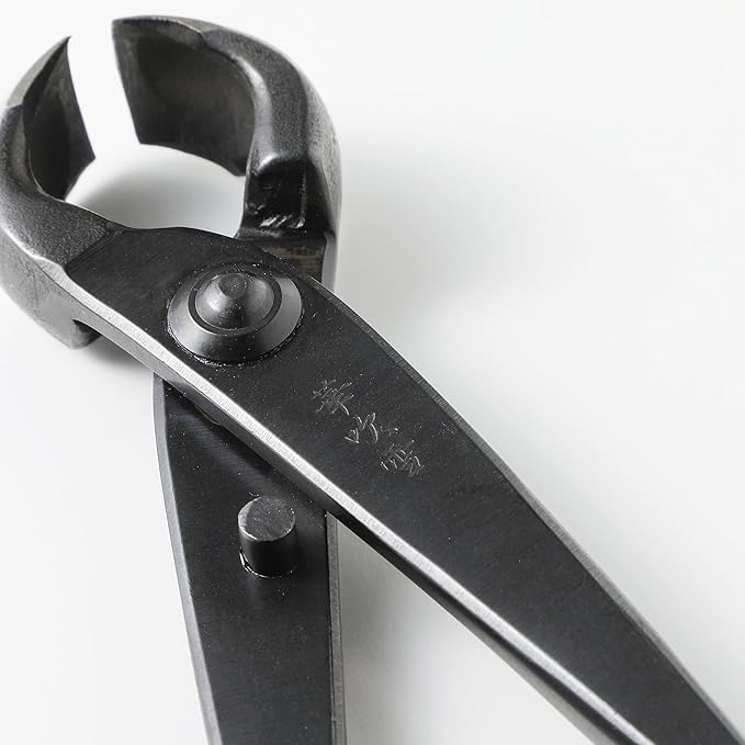 Wazakura Hand Forged Knob Bonsai Cutter Made in Japan 8-1/4 inch (210mm), Japanese Gardening Tools, Round Edge Concave Branch Cutter Black