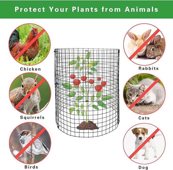 30Pcs 10 Pack Wire Plant Protectors Circle Wire Plant Cages Mesh Plant Cage Chicken Wire Cloche with 30 Ground Stakes and 200 Ties Protect Plants, Garden,Shrubs and Vegetables from Animals, 12x12 inch