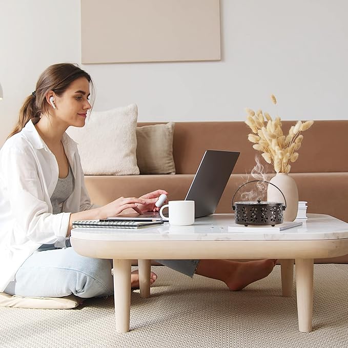 Portable Iron Mosquito Coil Holder with Handle Round Heat-Resistant Incense Holder for Home Office Camping (Bronze)