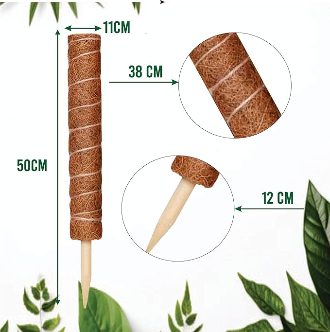 Moss Pole Pack of 2 | 50 CM Monstera Plant Support | Indoor Plant Poles | Sturdy Plant Moss Pole for Healthy Plants | Coir Pole for Plants