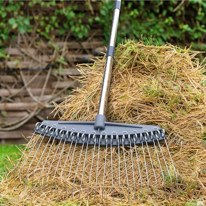 Colwelt Thatch Rake -24 Steel Tines, Dethatching Rakes with 54’’ Lightweight Stainless Steel Handle, Yard Dethatcher Rakes for Lawn(Pine Needles, Dead Grass, Thatch, Leaves, Mulch)