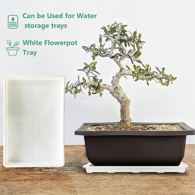 5 Pack Nursery Pot Tray, Carrying and Holding Plant Tray for Pot 24 Cell Carrying Holder Drainage Watering Plant Tray (White)