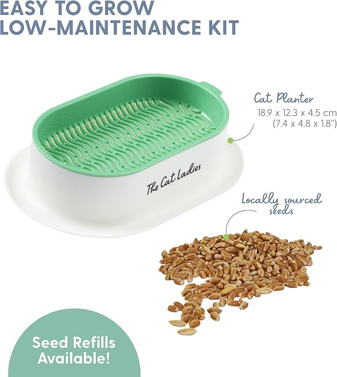 The Cat Ladies Hydroponic Cat Grass Growing Kit - Pet Grass Seed for Indoor Cats - Fast Growing Soil Free Catnip Plant Seeds to Grow Kitten Safe Plants - Just Add Water