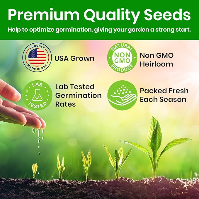 NatureZ Edge Premium Cat Grass Seeds for Indoor Cats, Non GMO - 1 lb Oat, Wheat, Barley & Rye Grass for Indoor Cats, Cat Plant, Kitty Lawn, Pet Grass, Hierba para Gatos, Made in USA