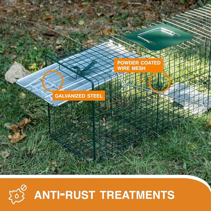HOMESTEAD 2-Pack Live Animal Trap - Specialized for Raccoons, Opossums, Groundhogs, Skunks, Feral Cats, Squirrels - Heavy Duty Steel Traps, 1-Door, Green, Humane Catch & Release Animal Trap,89-302
