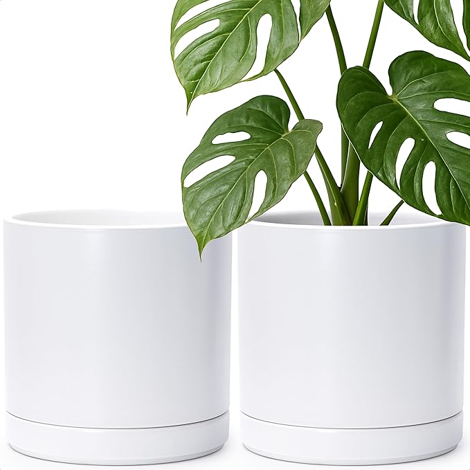D'vine Dev Set of 2 Plants Pots, 10 Inch Ceramic Planter Pot for Plants with Drainage Hole and Saucer, White, 94-V-E-1