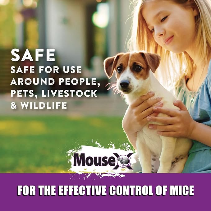 MouseX Throw Packs- for All Species of Rats Mice Safe Around Pets