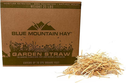 Blue Mountain Hay | Organic Garden Straw (25 lb) | Natural Mulch for Gardening, Flower Beds, Yard Landscaping, New Lawn Grass Seeding, Composting | Covers up to 375 sq ft