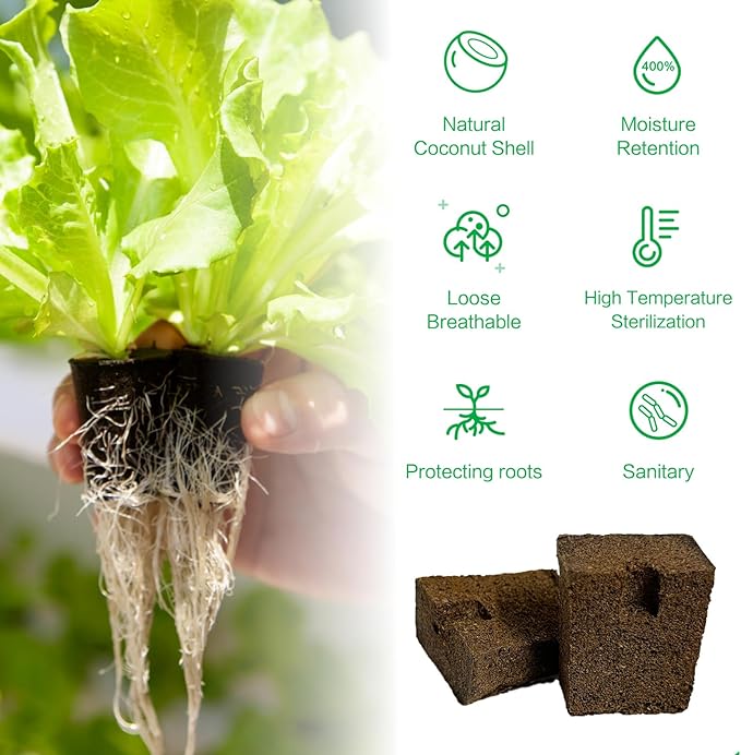 50 Pack of Hydroponic Growth Sponges - Square Seed Start Cube for Indoor Gardening System, Nurting Trays - for Vegetables, Herbs, Succulents, Green Leaf and Floral Arrangements