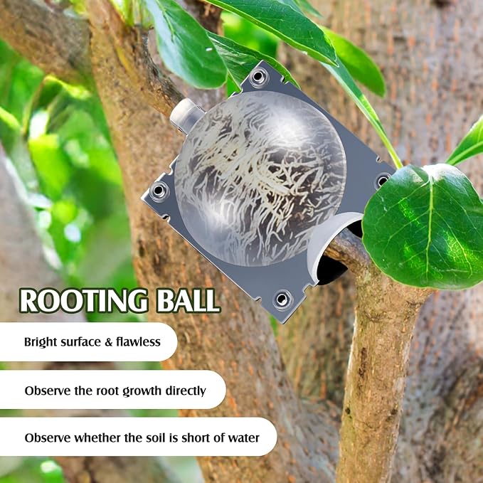 30 Pcs Air Layering Propagation Kit Reusable Half Black Half Transparent Grafting Ball Air Layering Pods Propagation Box Plant Rooting Grafting Box for Plants, Medium