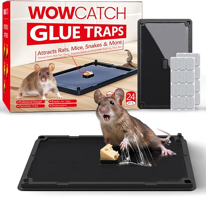 Sticky Mouse Traps for Indoor Use – 24 Pack Rat Glue Traps with Bait Slot, Pet Safe Rodent Catcher for Kitchen, Garage, Basement – Catches Mice, Snakes, Roaches,Non-Toxic, Medium Size