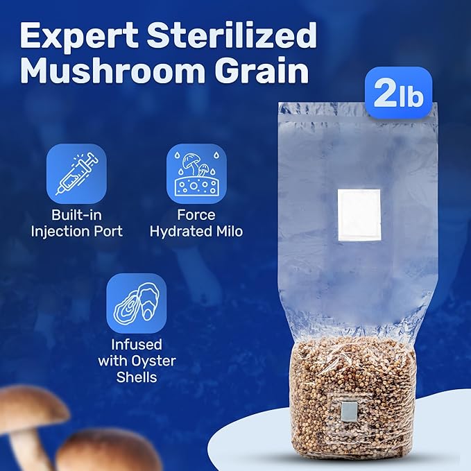 Surfin' Spores All-in-One Mushroom Grow Kit | 6 lb Grow-in-Bag Kit/Monotub Refill | Includes: 2 lb Sterile Grain Bag with Injection Port & 4 lb Organic CVG Substrate | Spores Not Included (Pack of 2)