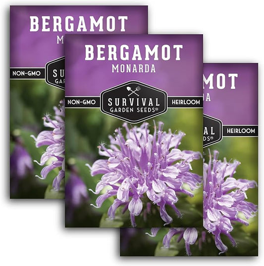 Survival Garden Seeds - Bergamot Herb (Bee Balm) Seed for Planting - 3 Packets with Instructions to Grow Monarda Fistulosa Wildflowers in Your Home Vegetable Garden - Non-GMO Heirloom Variety