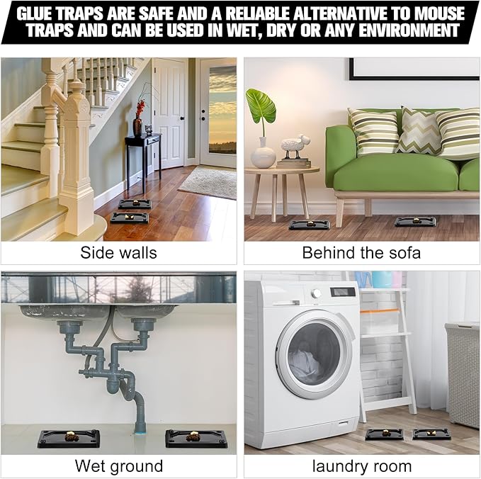 Qualirey 24 Pieces Mouse and Insect Glue Traps Baited Sticky Plastic Boards for House Rodents Heavier Adhesive Traps with Nontoxic Glue for Insects, Ready to Use, Pet Children Safe