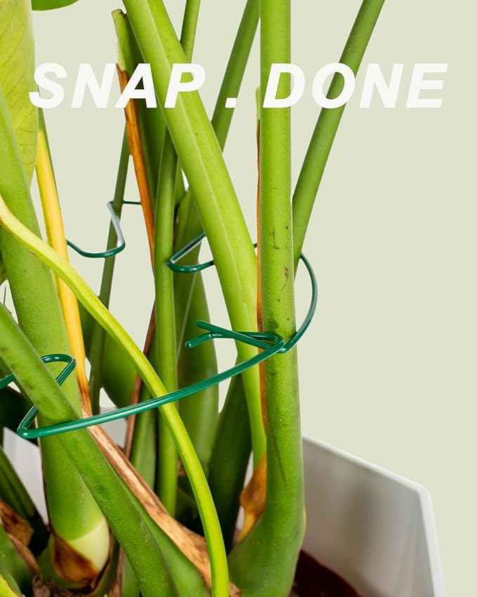 Monstera Plant Support 6-Pack - Durable Iron Clamps with Turtle Shell Design, Plant Supports for Indoor Plants & Climbing Vines, Healthy Growth & Leaf Stabilization