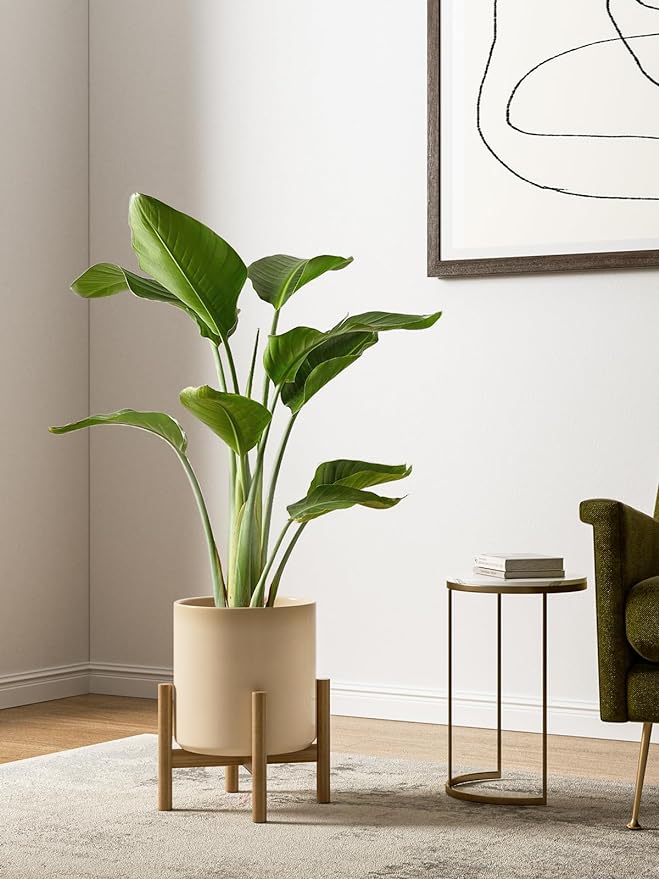 LE TAUCI Ceramic Plant Pots Indoor, 10+8+6 Inch Planters for Indoor Plants, Mid-Century Modern Flower Pots with Drainage Hole and Plug, Cylinder Round Planters, Set of 3, Cloud Cream