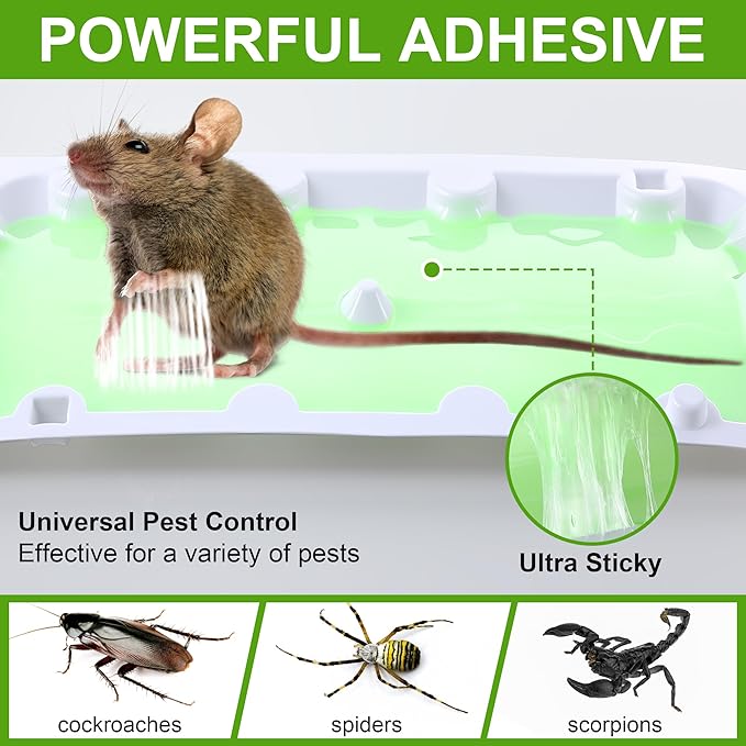 Qualirey 10 Pack Mouse Glue Trap, Super Sticky Traps for Mice and Rats, Pre-Scented, Non-Toxic Mouse Glue Boards, Rodent Sticky Pads Indoor for Home, Easy to Use, Pet Safe Pest Control