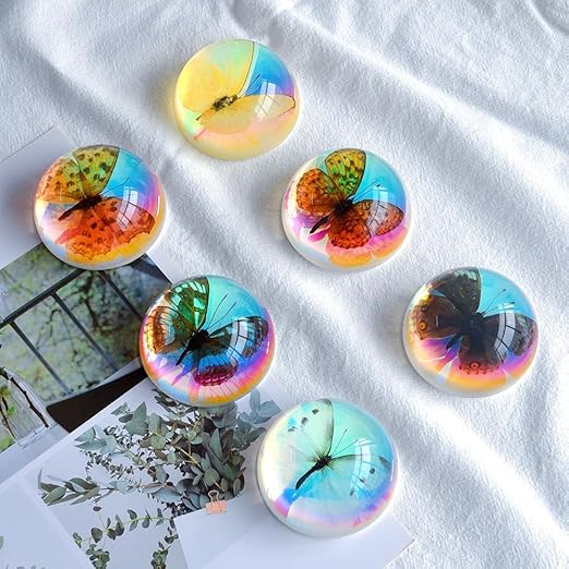 Real Butterfly Specimens, Resin Insect Specimens, Educational Bugs Specimen Set for Kids, Preschool Education, Biology, Insect Lovers (Butterfly Specimens)