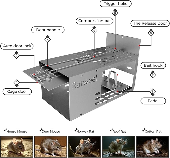 2 Pack Humane Rat Trap Live Mouse Trap Indoor Catch and Release Animal Cage Multi Large Bait Outdoor Reusable Chipmunk Mice Voles Rodent That Work (2)