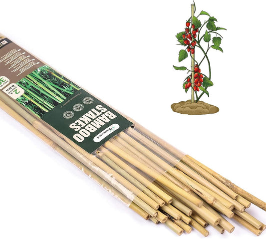 Bamboo Sticks for Plants 2 Feet Bamboo Stakes for Indoor Gardening Plant Stakes Supports Potted Plants Mini Trees Garden Stakes - Pack of 30 Bamboo Poles Natural