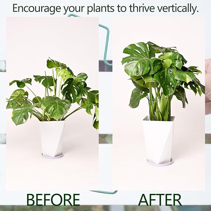 5PCS Monstera Plant Support Stem 9 x 7.6 in- Durable Stabilizer Set for Indoor Climbing Plants, Holders for Enhancing Growth, Ideal Gift for Plant Lovers, Fishbone Cactus Stake Garden Tool