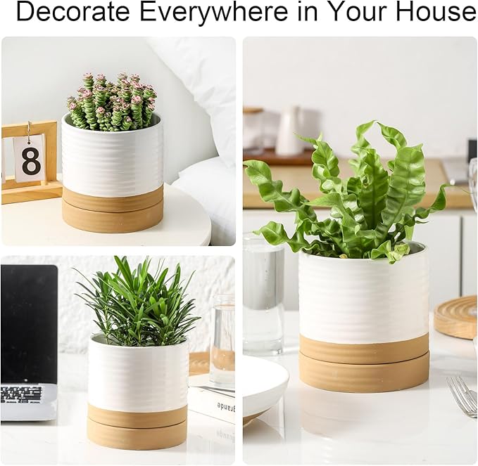 Hasense Ceramic Plant Pots Indoor Outdoor, 6 Inch Pot for Plants with Drainage Hole and Saucer, White Modern Flower Planter for Housewarming Gift