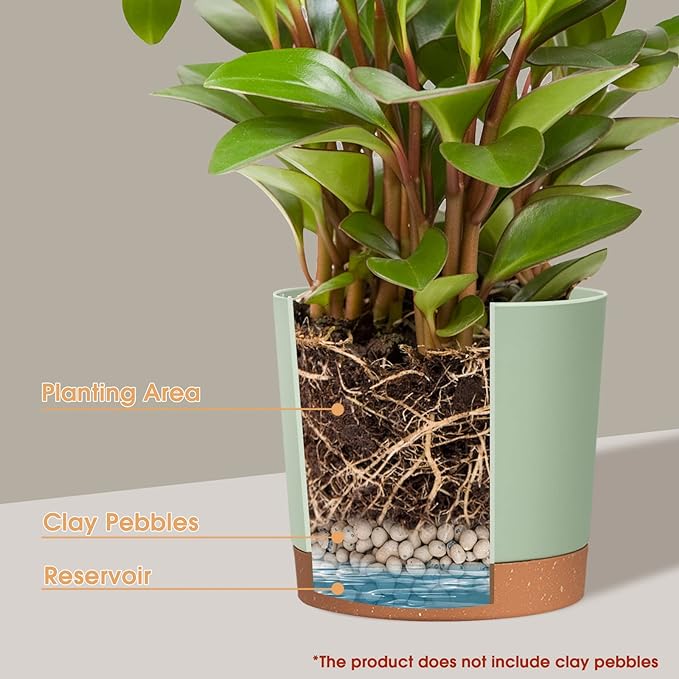 kubvici Plant Pots for Indoor Plants, 2 Pack 12 Inch Pots for Plants, Lightweight Large Planters for Indoor Plants Outdoor Plants, Big Plastic Plant Pot Flowers Pot with Drainage (12” Green & White)