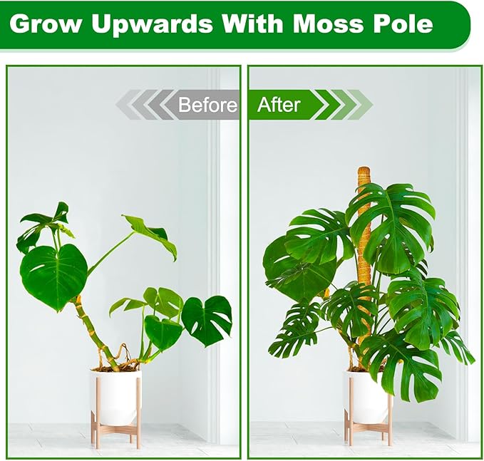 Joyhalo Bendable Moss Pole for Plants, 2 Pack 24 Inch Monstera Plant Support Stakes, Moss Poles for Climbing Plants with Jute Rope, Coco Coir Pole Indoor Plant