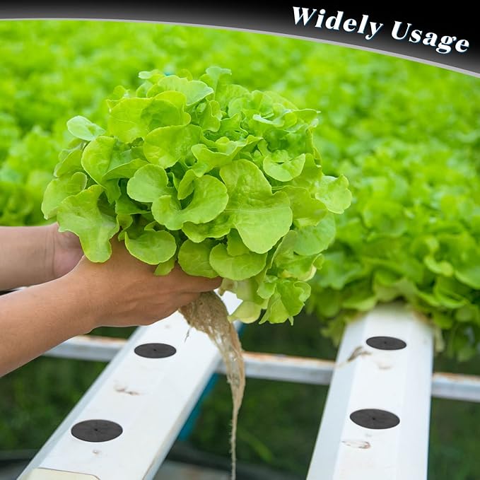 Lallisa 240 Pcs Clone Collars 2 Inch Foam Inserts for Hydroponic Cloning Machines Fits 2" Net Pots Reusable Collars for Hydroponics Plant Germination in DIY Cloner and Clone Machines (Black)