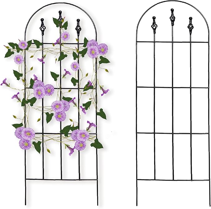 48" H x16 W Trellis,Black Garden Metal Vine Sturdy Trellises for Outdoor Climbing Plants Support Structures B (121cm) 2Pack