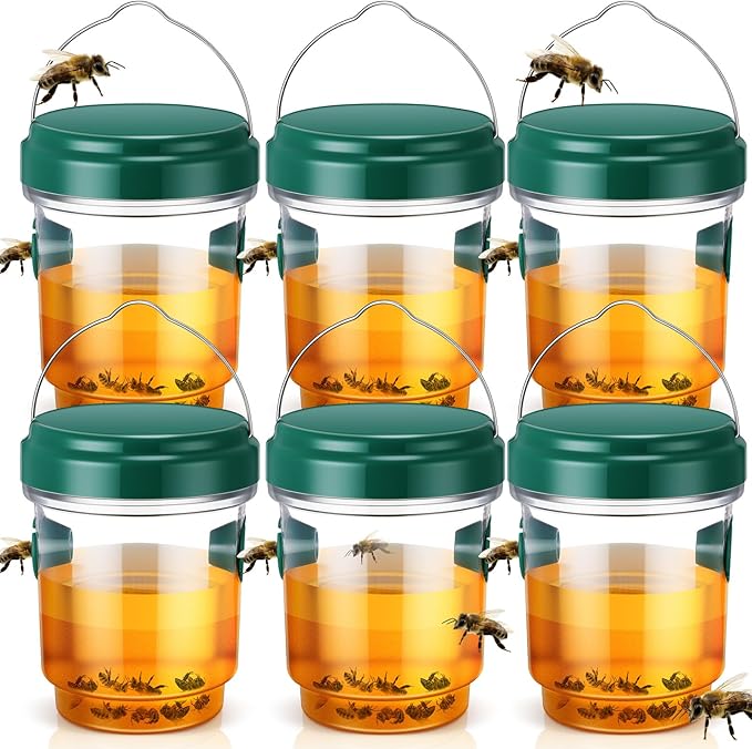 Qualirey 6 Pcs Wasp Traps for Outdoors Wasp Killer Hanging Bee Traps Reusable Fly Bee Killer for Indoor Outdoor Patio Garden Home (Green)
