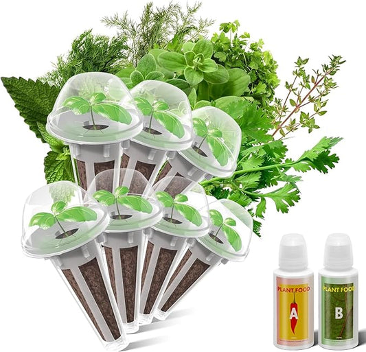 inbloom Culinary Herbs Seed Pod Kit for Hydroponics Growing System, 7 Pods (350+ Seeds with Basil, Parsley, Shis0, Liquorice, Mint, Cilantro, and Chic0ry)