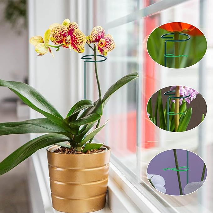 6 Pack Plant Support Stakes, 16 inch Plant Rings with 50 Pcs Plant Twist Ties, Single Stem Plant Support Stakes for Plant Flowers, Amaryllis, Rose, Orchid, Peony, Lily, Tomatoes, Vegetable