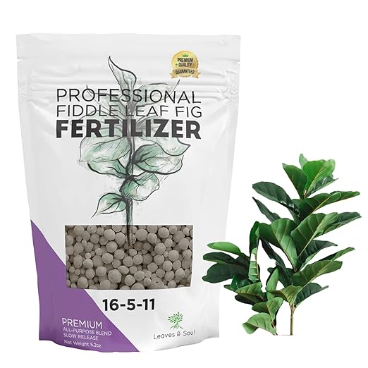 Fiddle Leaf Fig and House Plant Fertilizer Pellets |16-5-11 Slow Release Pellets for Seedlings and Mature Houseplants | Multi-Purpose Blend & Gardening Supplies| 5.2 oz Resealable Packaging