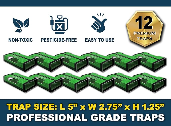 MaxGuard Spider + Insect Traps (12 pcs Box Trap) | Non-Toxic Extra Sticky Glue Traps, Kill Black Widow Hobo Brown Recluse Spiders and Other Crawling Bugs & Insects |