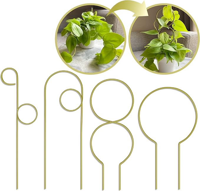 Small Metal Trellis for Indoor Plants Metal Plant Stake for Climbing House Plants Plant Support for Potted Plants Orchids, Monstera, Pothos, Ivy, Hoya, Philodendron Set of 4 (Brushed Gold)