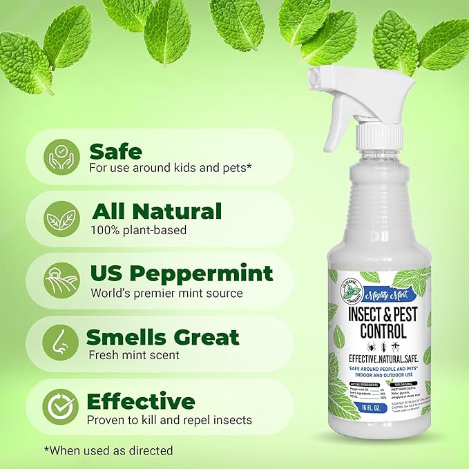 Mighty Mint Peppermint Oil Insect Repellent Spray – Natural Indoor & Outdoor Bug Control for Spiders, Ants, Roaches, and More – Plant-Based, Extra-Strong Formula - 16 oz (Pack of 2)