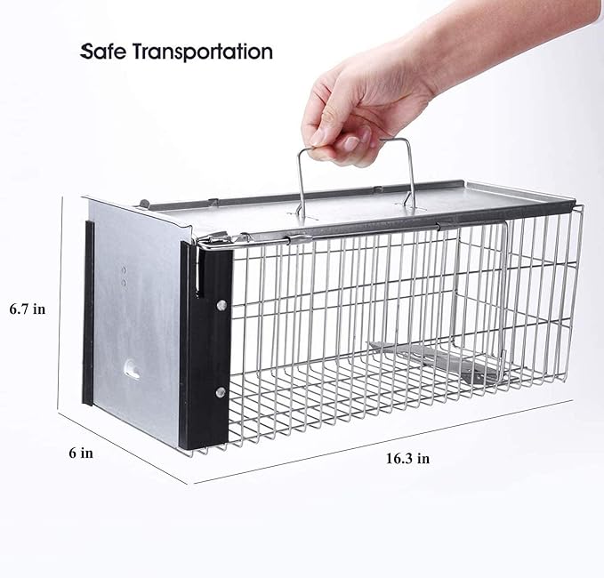 Faicuk Heavy Duty Squirrel Trap Chipmunk Trap Rat Trap and Other Similar-Size Rodents - 16.3” x 6” x 6.7”