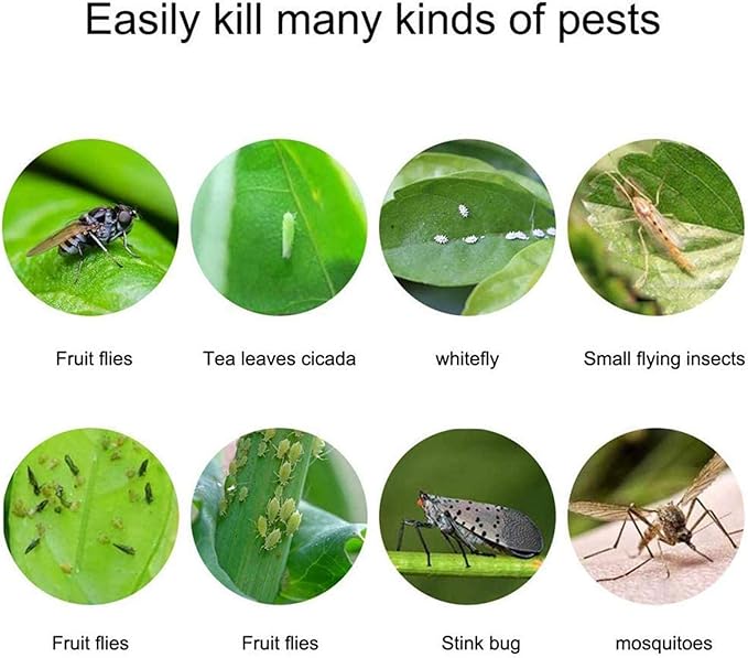 Faicuk Yellow Dual-Sided Sticky Fly Traps for Plant Insect Like Aphids, Fungus Gnats, Leaf Miners and White Flies (10 Pack)